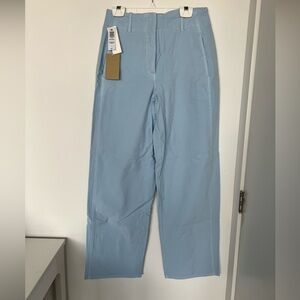 Aritzia Ascendant Pant in light blue